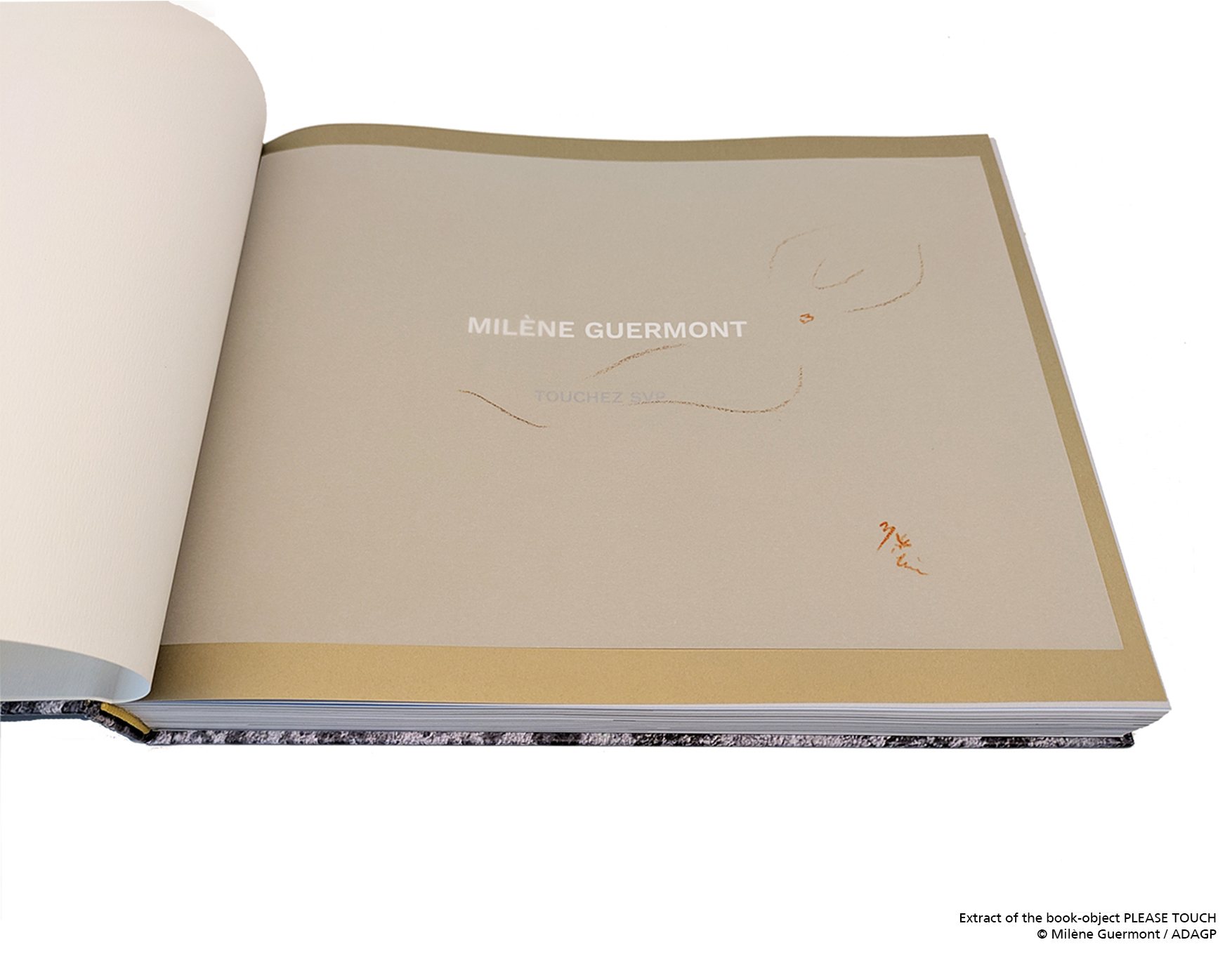 First monograph — 2/13