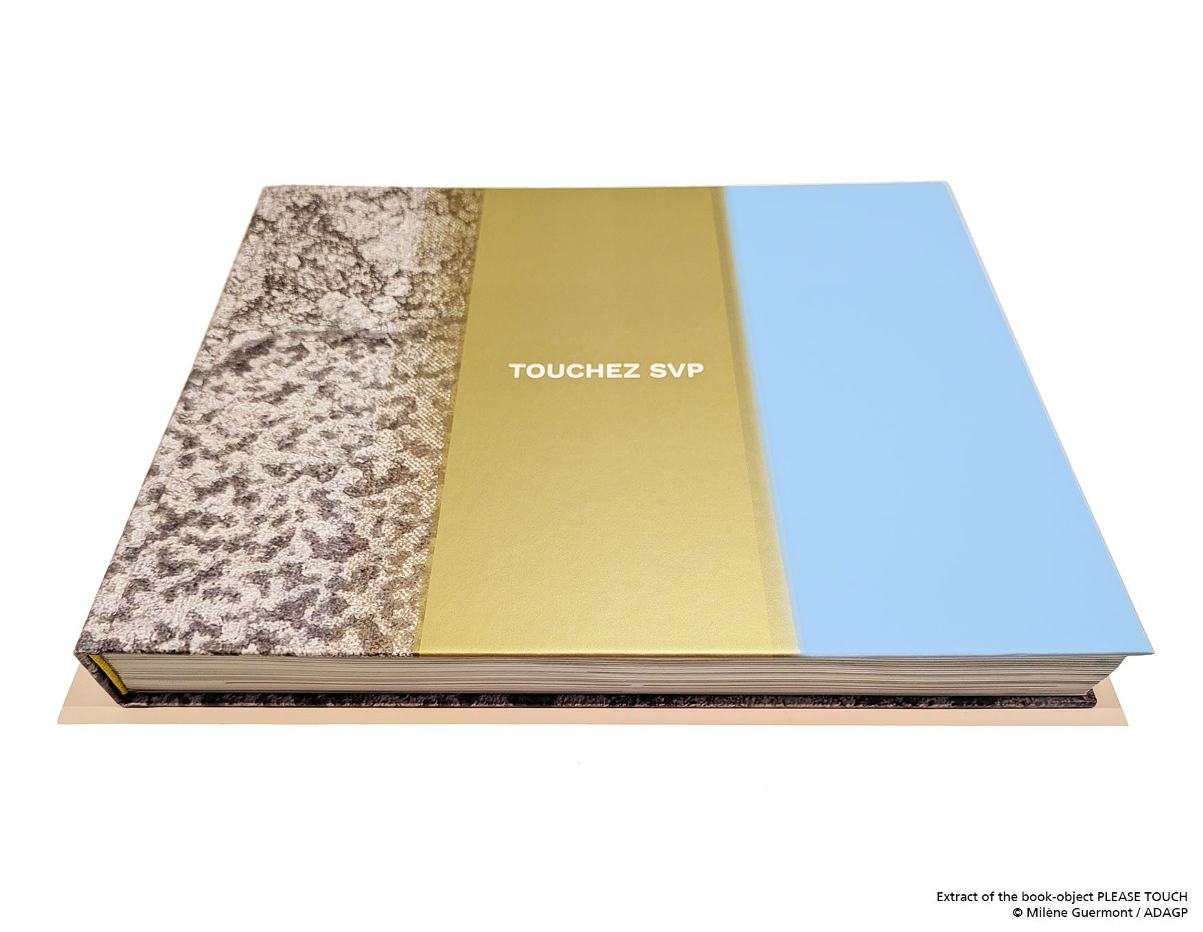 First monograph — 1/13
