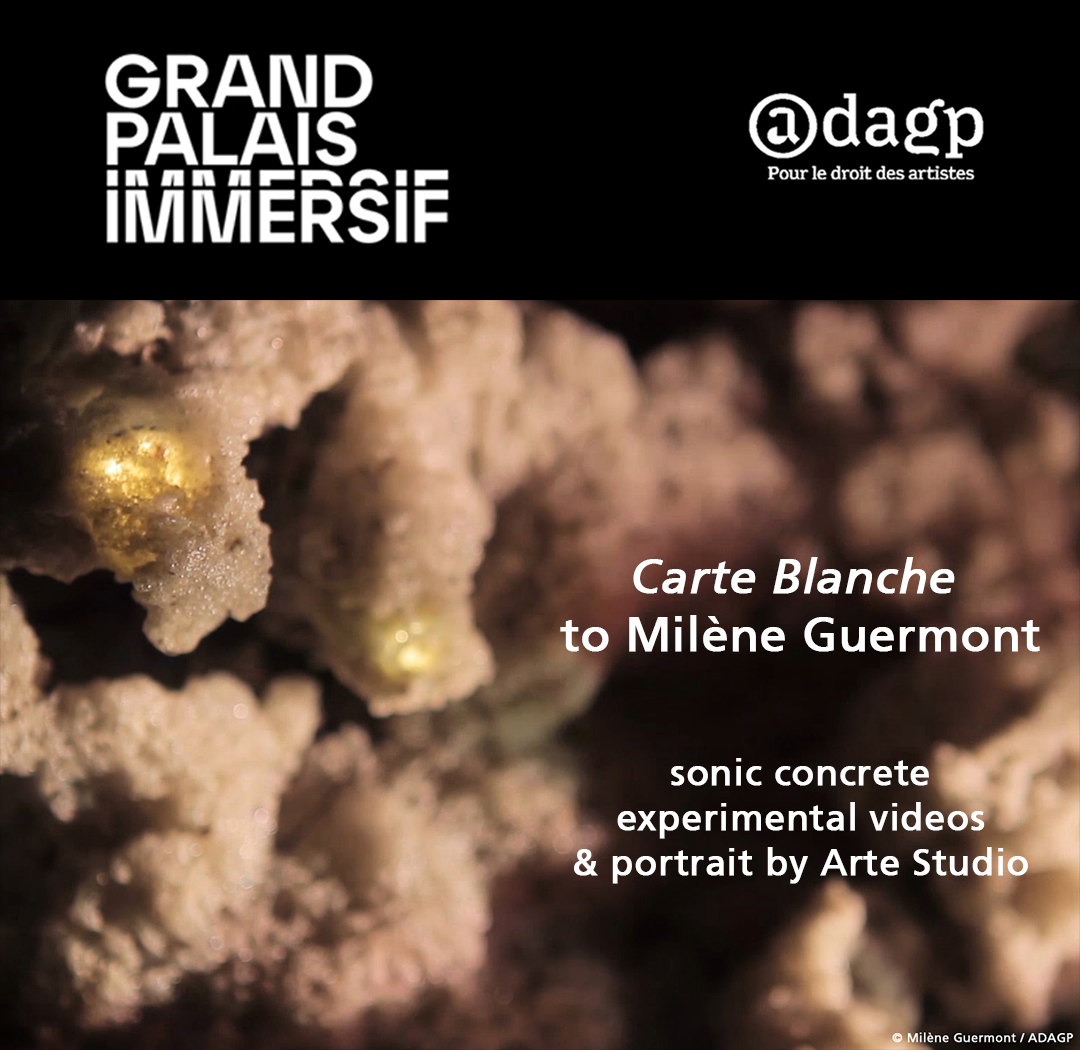 Carte blanche at Grand Palais Immersif
